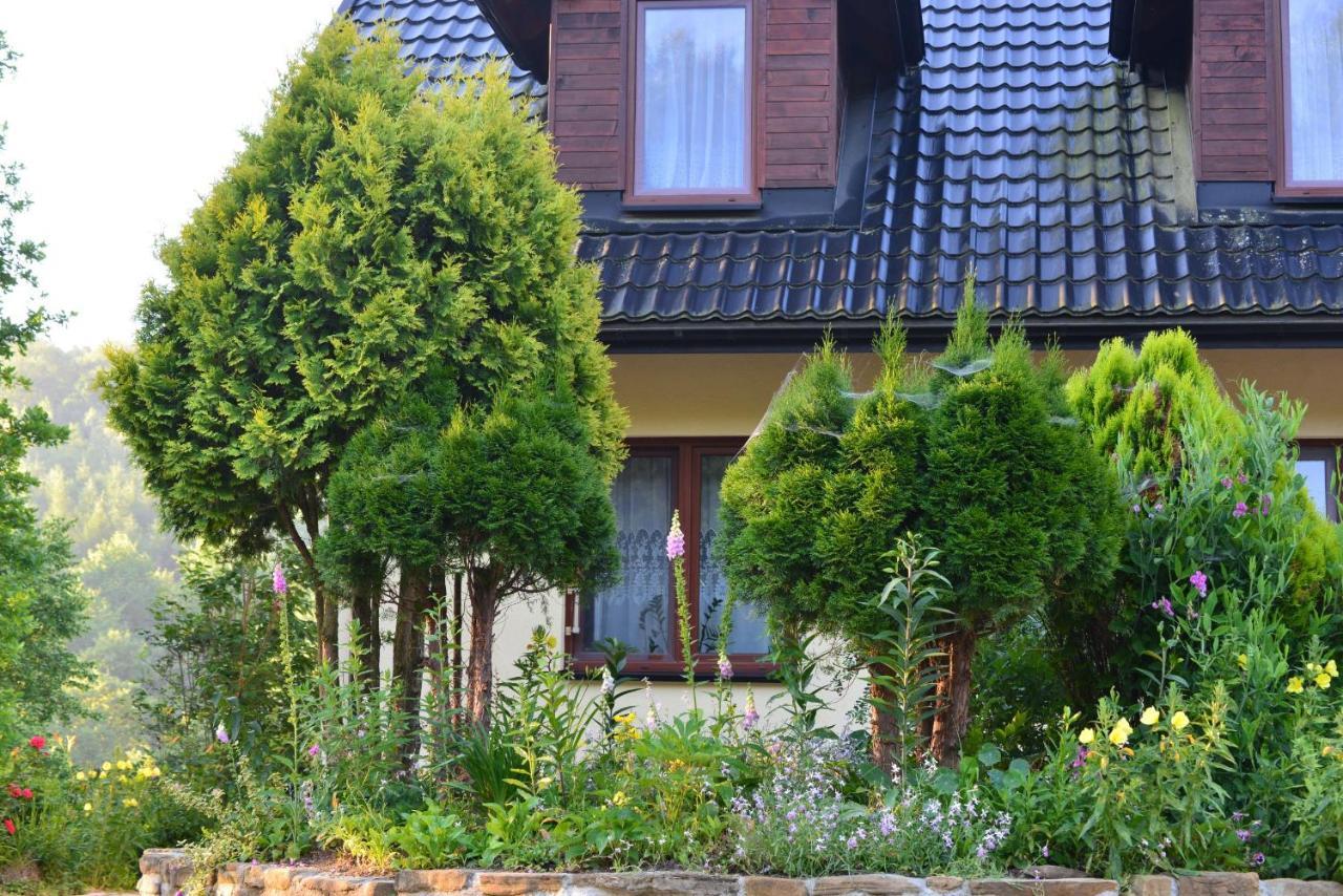 Villa Zakole Sanu Dubiecko Exterior foto